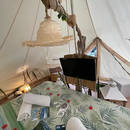 Re Dream A Tema - Rapallo